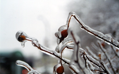 Ice Shell